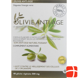 Olivie Anti-Age 500mg Gelules Vegetale 40 Stück