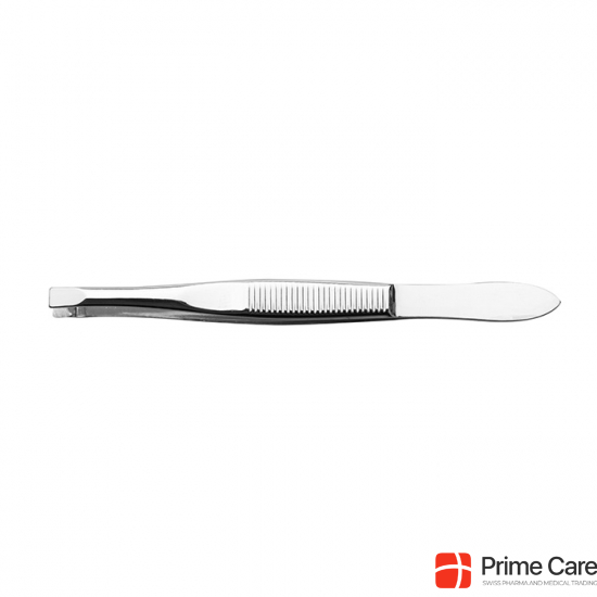 Borghetti Tweezers Straight Steel Nickel Plated buy online