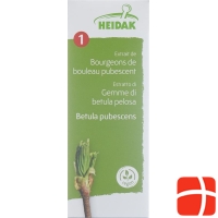 Heidak Knospe Moorbirk Betu Pub Glyc Maz Flasche 30ml