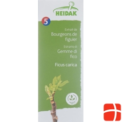 Heidak Knospe Feige Ficus Glyc Maz Flasche 30ml