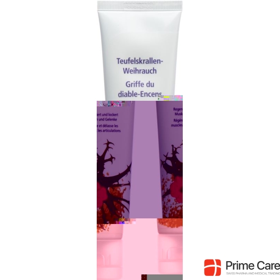 Phytomed Teufelskrallen-Weihrauch Creme Tube 100ml buy online