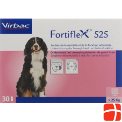 Fortiflex Tabletten 525mg Blister 30 Stück