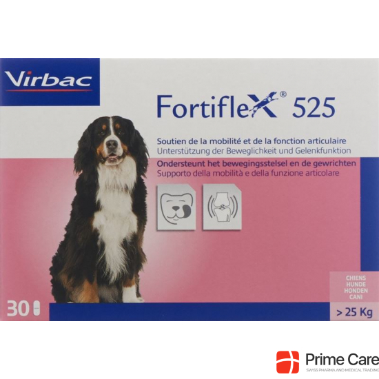 Fortiflex Tabletten 525mg Blister 30 Stück buy online