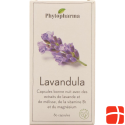 Phytopharma Lavandula Kapseln Dose 80 Stück