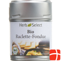 Herbselect Raclette-Fondue Gewürz Bio 40g