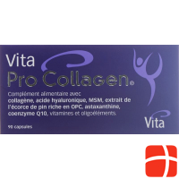 Vita Pro Collagen Kapseln Glas 90 Stück