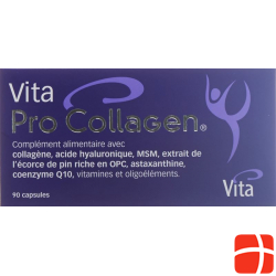 Vita Pro Collagen Kapseln Glas 90 Stück