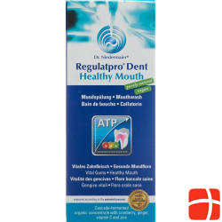 Regulatpro Dent Healthy Mouth Flasche 350ml