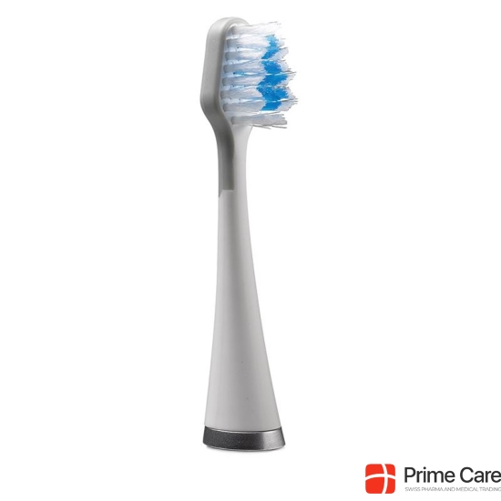 Waterpik brush heads Standard Strb-3ew buy online