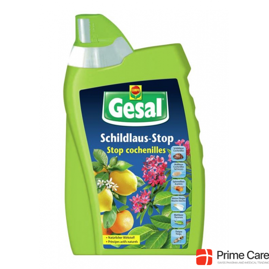 Gesal Schildlaus-Stop Flasche 500ml buy online