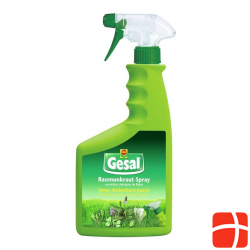 Gesal Rasenunkraut-Spray Gebrauchsfertig 750ml