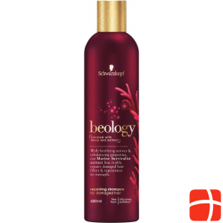 Beology Shampoo Repair 400ml