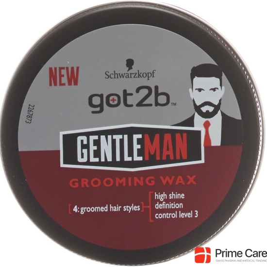 Got2b Gentlemen Grooming Wax 100ml buy online