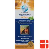 Regulatpro Arthro Flasche 350ml