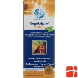 Regulatpro Arthro Flasche 350ml