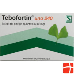 Tebofortin Uno 240 Filmtabletten 240mg 20 Stück