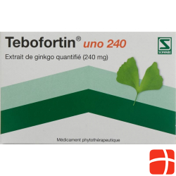 Tebofortin Uno 240 Filmtabletten 240mg 40 Stück