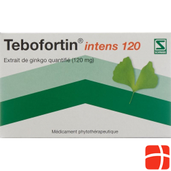 Tebofortin Intens 120 Filmtabletten 120mg 30 Stück