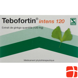 Tebofortin Intens 120 Filmtabletten 120mg 90 Stück