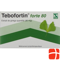 Tebofortin Forte 80 Filmtabletten 80mg 80 Stück