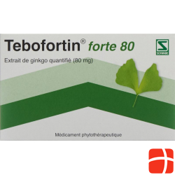 Tebofortin Forte 80 Filmtabletten 80mg 80 Stück