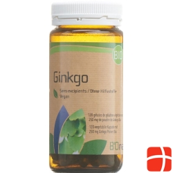 Bionaturis Ginkgo 250mg Flasche 120 Stück