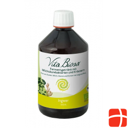 Vita Biosa Probiotic Ingwer Flasche 500ml