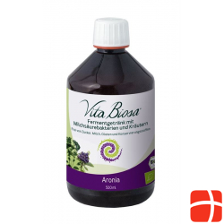 Vita Biosa Probiotic Aronia Flasche 500ml