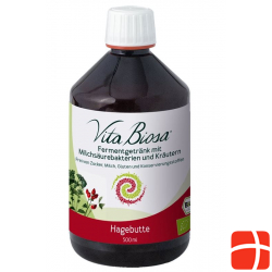 Vita Biosa Probiotic Hagebutte Flasche 500ml