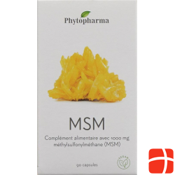 Phytopharma MSM Kapseln 1000mg Dose 90 Stück