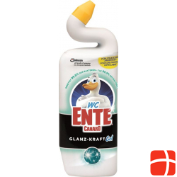 WC-ente Glanz-Kraft Gel Flasche 750ml