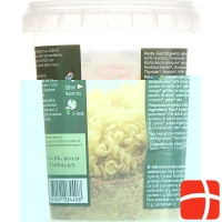 Morga Pasta Napoli Bio Dose 120g
