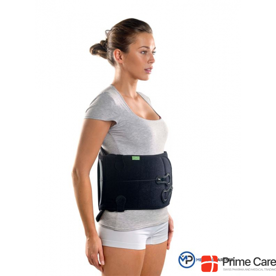 Braceid Lumbosacral Back Brace U Lso buy online