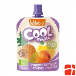 Vitabio Frucht-Snack Apf Mang Ana Bio Ch 12x 90g