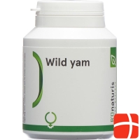 Bionaturis Wild Yam Pulver Kapseln 240mg 180 Stück