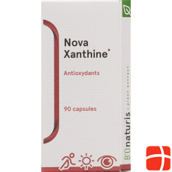 Bionaturis Novaxanthine Astaxanthin Kapseln 4mg Dose 90 Stück