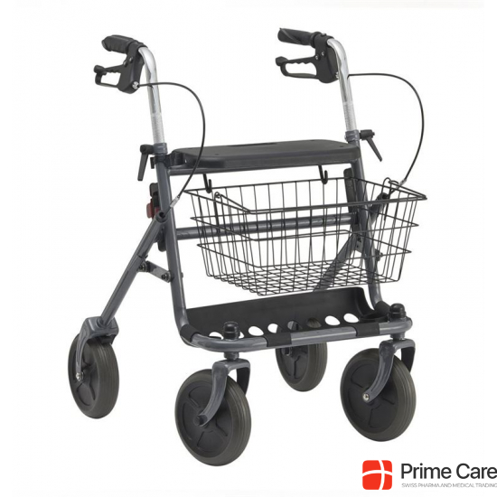 Dietz Rollator Fakto+ 8.3kg Grau 2 Stück buy online