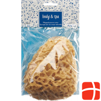 Herba natural sponge big