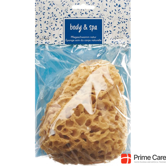 Herba natural sponge big buy online