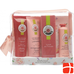 Roger Gallet Frühlingscoffret Fleur Figuier 2019