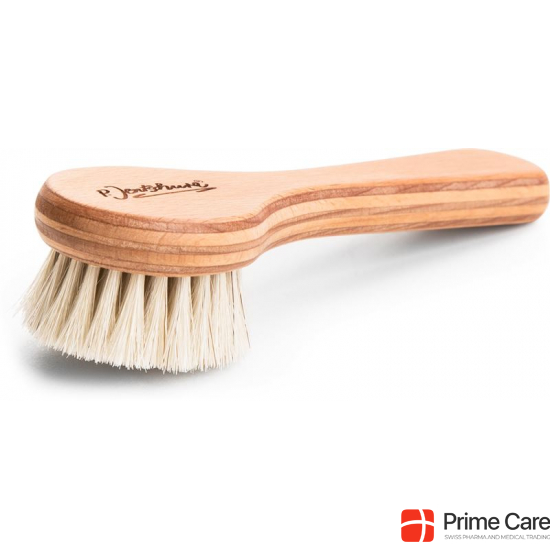 Jentschura facial brush buy online