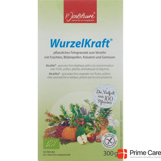 Jentschura Wurzelkraft Feingranulat Bio 300g buy online