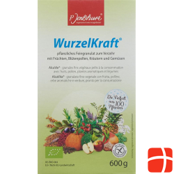 Jentschura Wurzelkraft Feingranulat Bio 600g