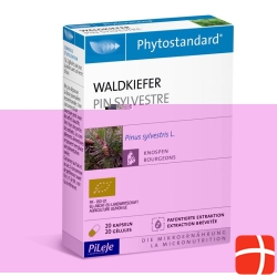 Phytostandard Waldkiefer Kapseln 20 Stück