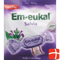 Soldan Em-Eukal Salvia Zuckerfrei Beutel 50g