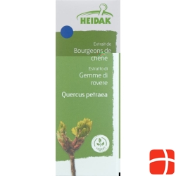 Heidak Knospe Eiche Quercus Petr Glyc Maz Flasche 30ml