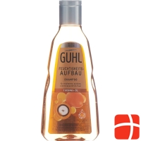 Guhl Feuchtigkeits-Aufbau Shampoo (neu) Flasche 250ml