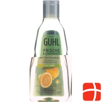 Guhl Frische&leichtig Anti-Fett Shampoo Flasche 250ml