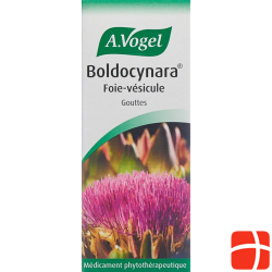 Vogel Boldocynara Leber-Galle Tropfen Flasche 50ml