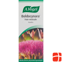 Vogel Boldocynara Leber-Galle Tropfen Flasche 100ml